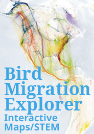 bird explorer button