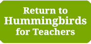 return to hummingbirds for teachers