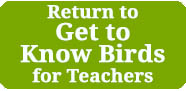 Return to Wild about Birds for Teachers