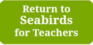 Return to Wild about Birds for Teachers